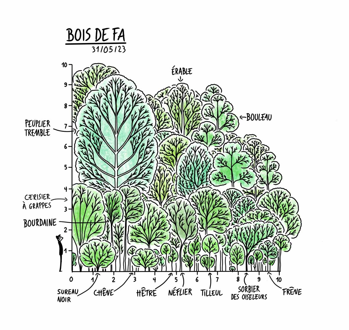 illustration-docu-urbanforest