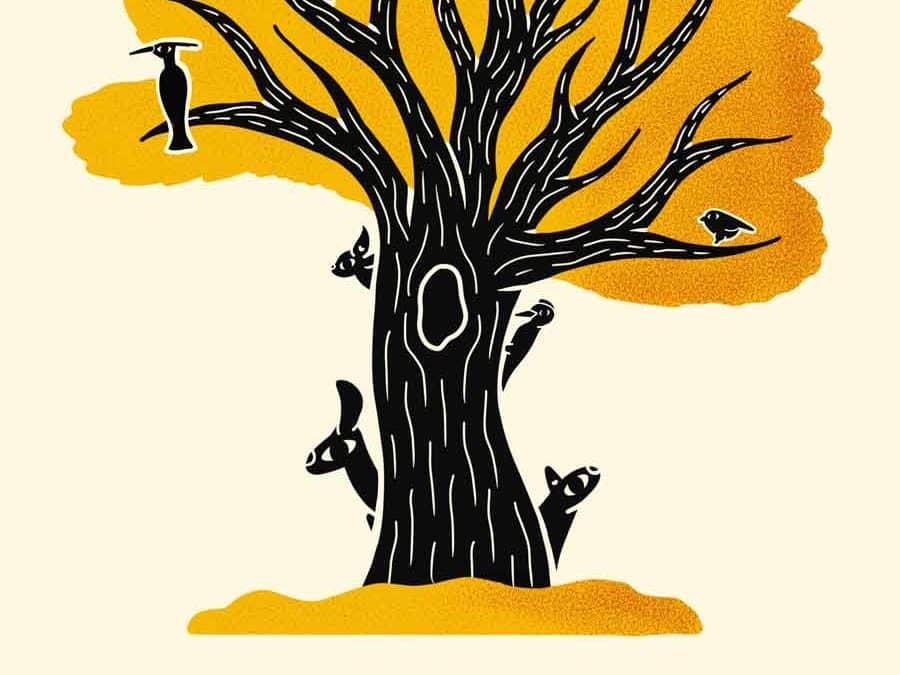 La forêt derrière l&rsquo;arbre