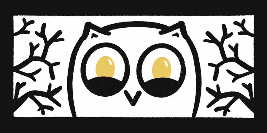 Photographie et Vidéo