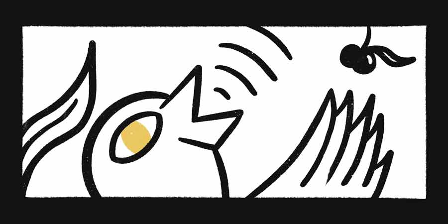 Logo et Charte Graphique