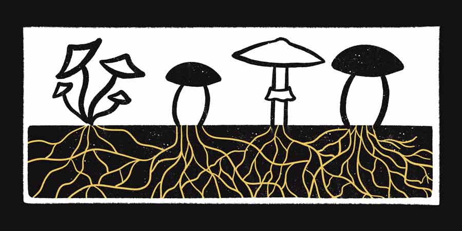 Site internet mobile responsive